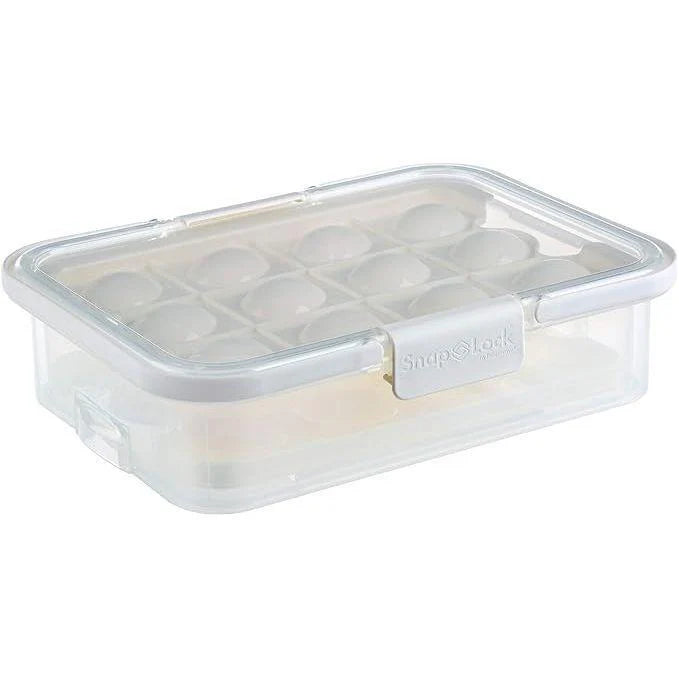 Collapsible Egg Carrier
