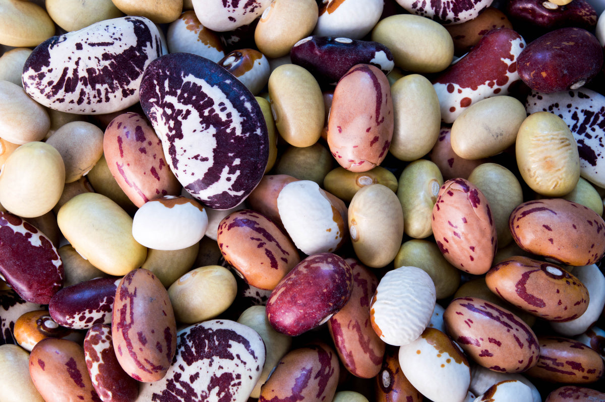 COOKING CLASS: Bean There, Done That II with Lisa Andrews 25 MARCH 2027