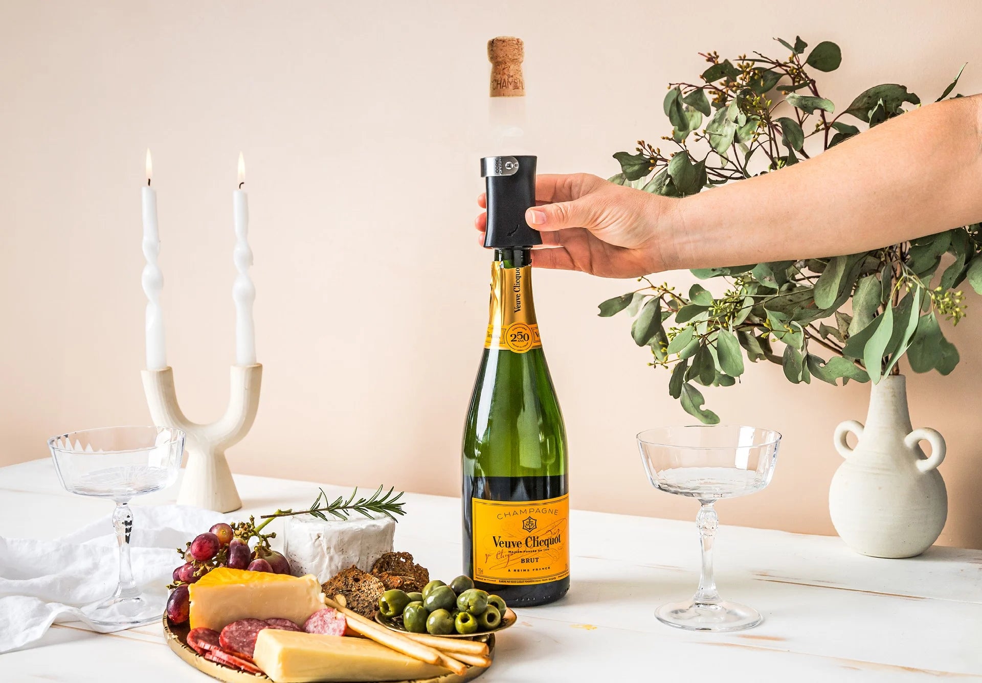 DRE Champop [4] DREAMFARM