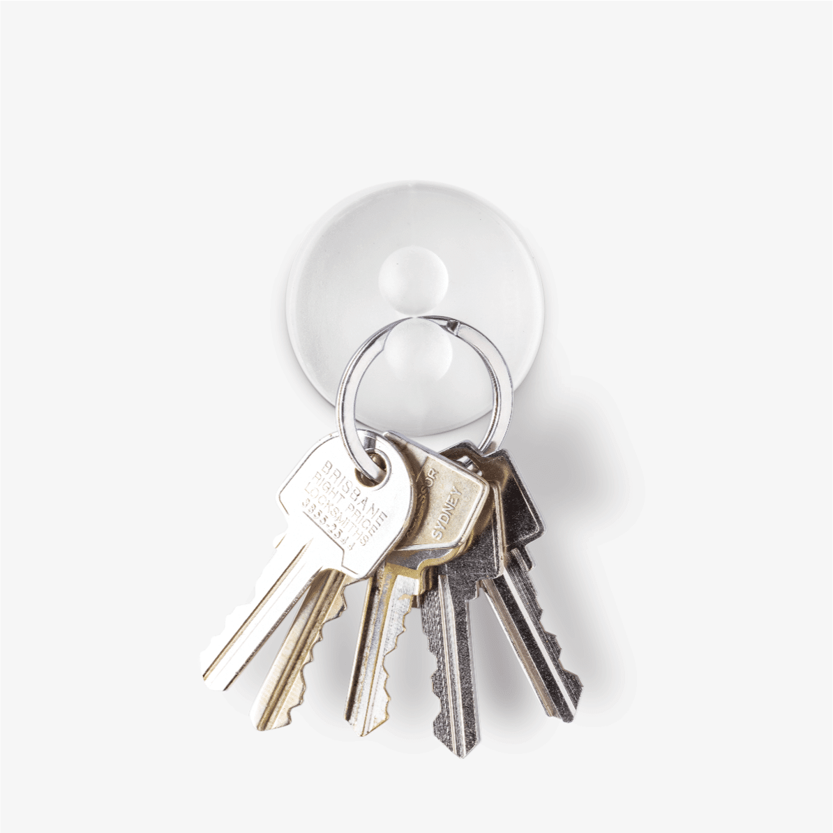 DRE Jot s/4 CLEAR [6] DREAMFARM