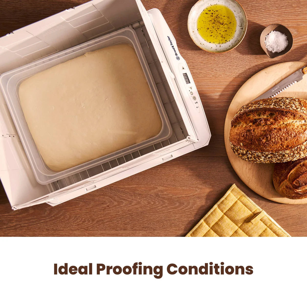 B&T Folding Proofer & Slow Cooker [4] BROD & TAYLOR
