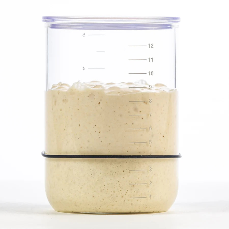 B&T Sourdough Starter Jar [24] BROD & TAYLOR