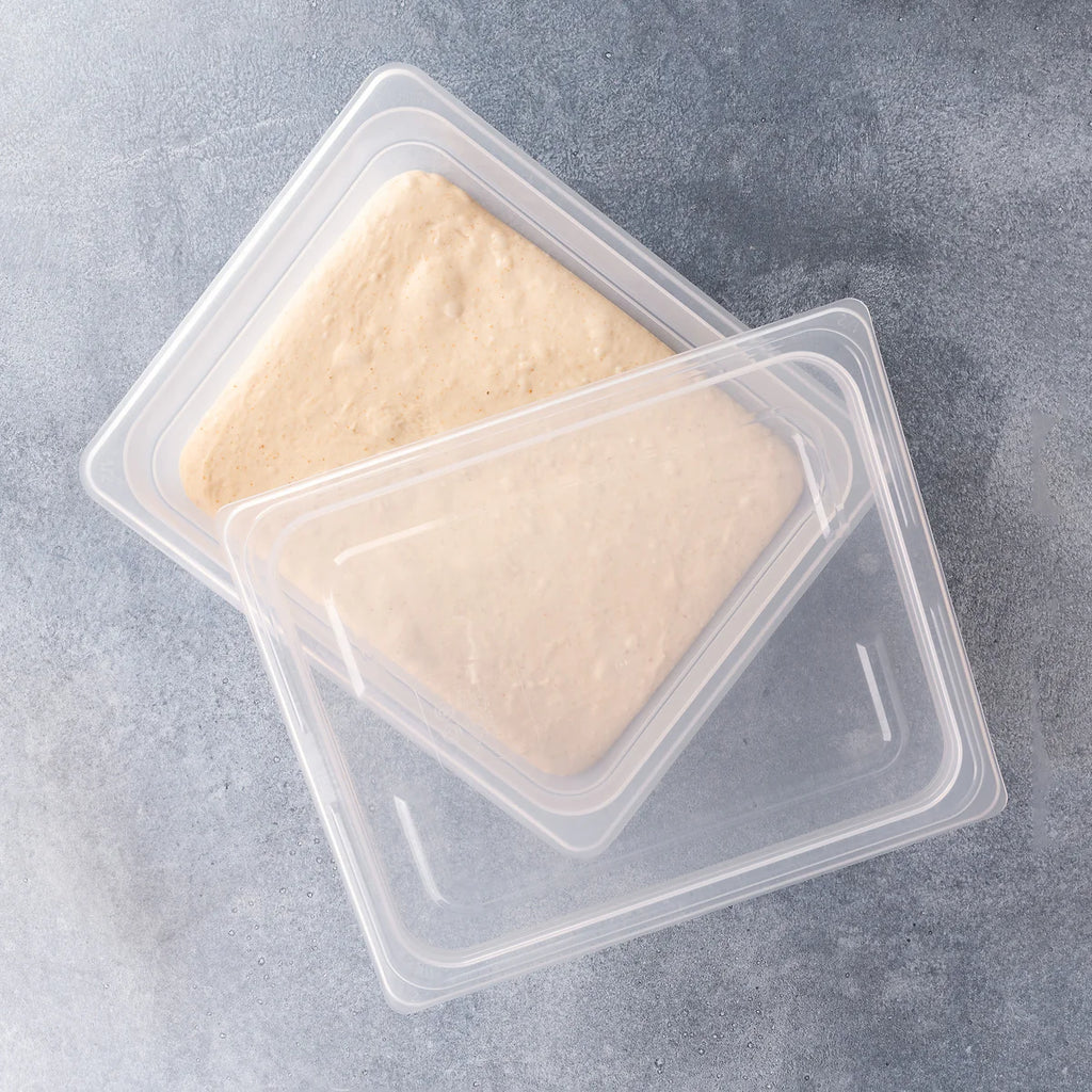 B&T Proofing Container 6L 2-PK [4] BROD & TAYLOR
